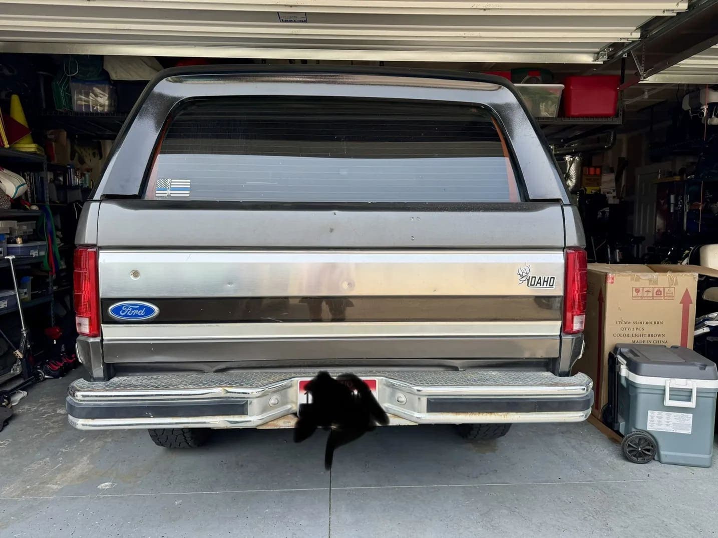 1986 Ford Bronco XLT, view